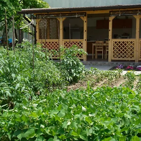 La Daria Si Mara Eforie Sud (Constanta)