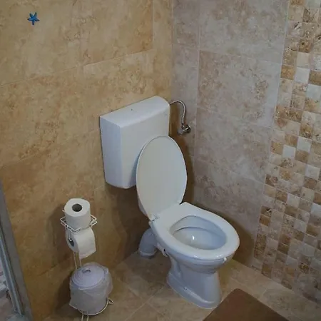 Guest house La Daria Si Mara 3*