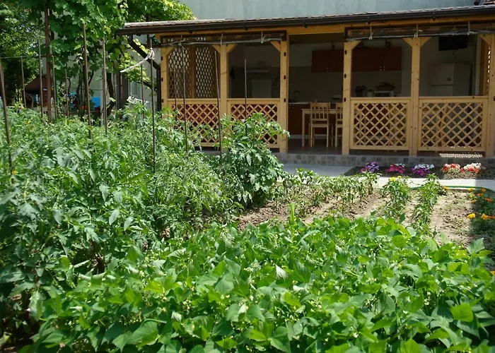 La Daria Si Mara Eforie Sud (Constanta)